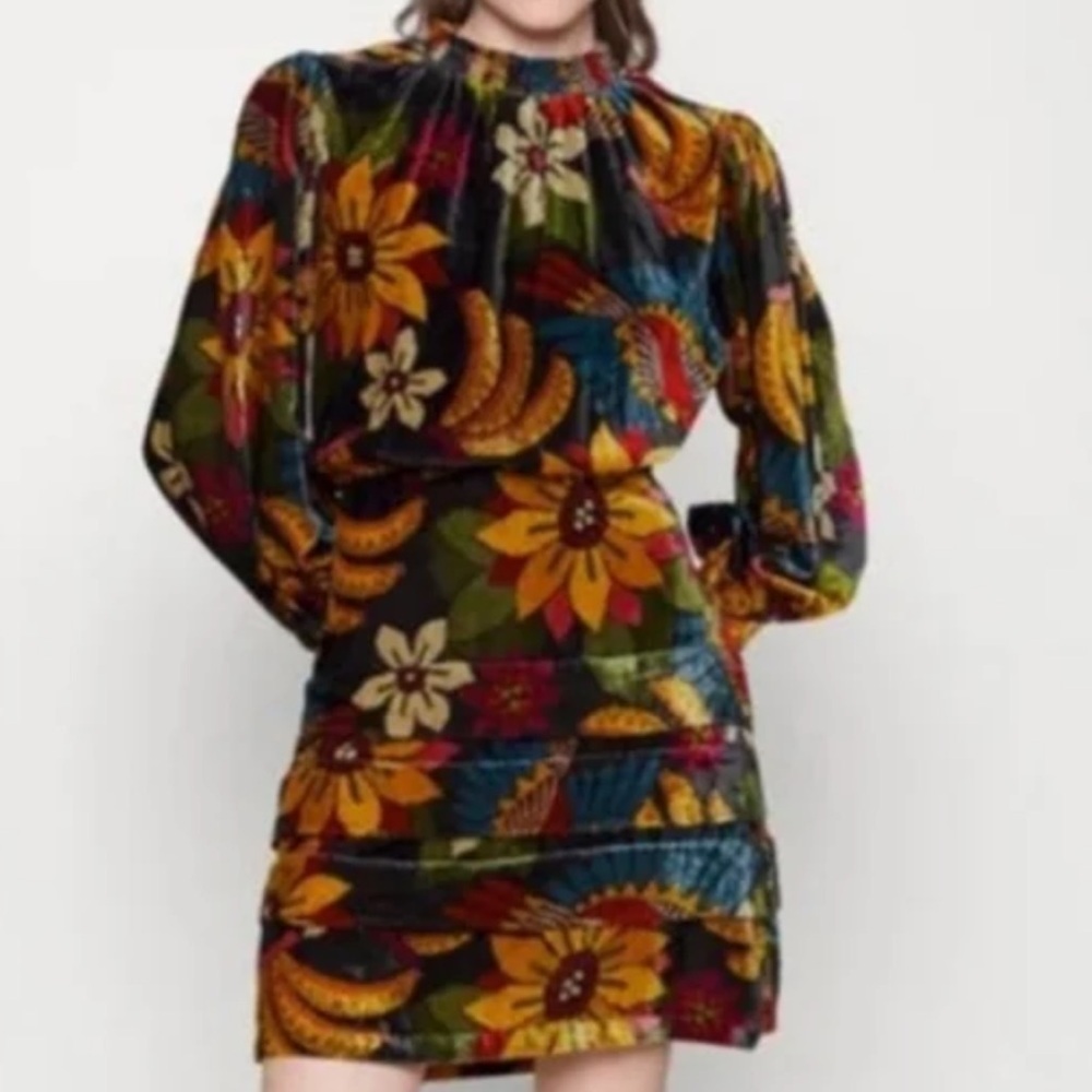 Farm Rio Macaw Floral Velvet Dress